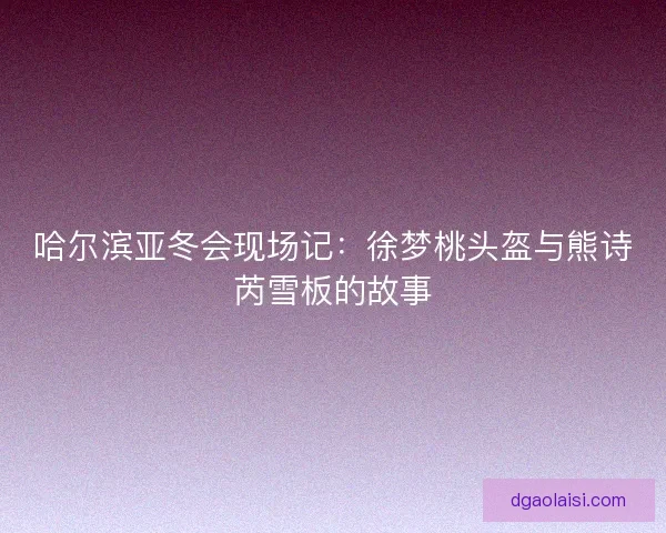 哈尔滨亚冬会现场记：徐梦桃头盔与熊诗芮雪板的故事